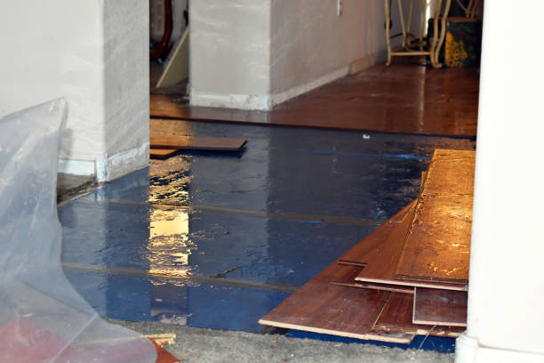 Professional Burst Pipe Cleanup technician working in Celeste, TX