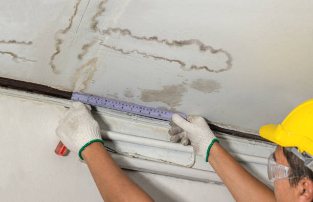 Reliable Burst Pipe Cleanup contractor in Celeste, TX by Local Water Damage Repair